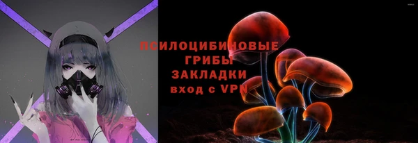 твердый Аркадак