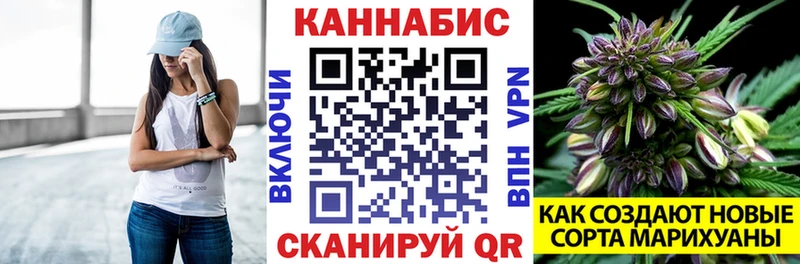 где продают наркотики  Ульяновск  Канабис сатива 